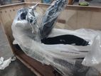 Honda PCX160 2025
