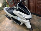 Honda PCX160 2025