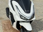 Honda PCX160 2026