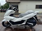 Honda PCX160 2026