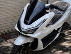 Honda PCX160 2026