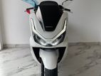 Honda PCX160 2025