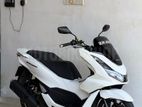 Honda PCX160 PCX 2024