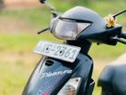 Honda pleasure scooter 2006