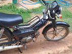 Honda sapari 2000