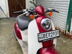 Honda Scoopy 110 2013