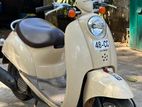 Honda Scoopy 110 2021