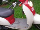 Honda Scoopy 2024