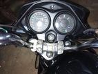 Honda Shine SP 125 2013