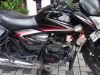 Honda Shine SP 2017