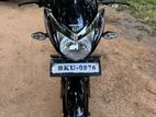 Honda Shine SP 2026