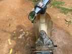 Honda Super Club for Parts