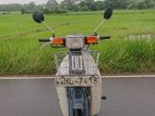 Honda Super Club Custom 50 2003