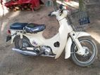 Honda Little Cub 2017