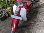 Honda Super Cub 1981