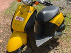 Honda Today 2023