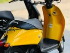 Honda Today 2023