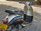 Honda Today 2024