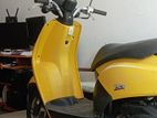 Honda Today 2024