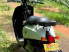 Honda Today 2024
