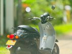 Honda Today 2024