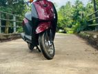 Honda Today 2024