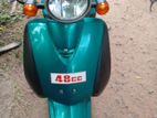 Honda Today 2025