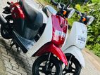 Honda Today 48CC 2025