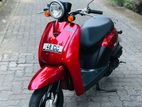 Honda Today 48CC 2025