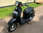 Honda Today 2025