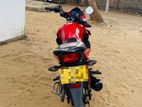 Honda Twister BHM 2019