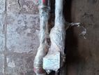 Honda Vezel LH Axell - Reconditioned