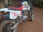 Honda XLR @ 2001