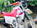 Honda XLR 250 Baja 2000