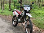 Honda XLR 2001