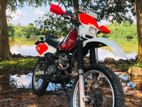 Honda XR 2006