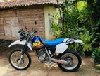 Honda XR 2003