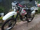 Honda XR 2004