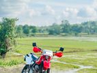 Honda XR 2007