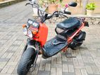 Honda Zoomer 2018