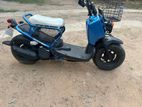 Honda Zoomer 2021