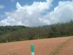හොඳම ආයෝජනයක්