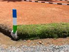 හොඳම investment එකක් පානදුර වලාන Y31