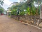 හෝකන්දර, තලවතුගොඩ පාරේ පිහිටි ඉඩමක් විකිණීමට ඇත. (ID : THLW001S)