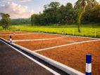 හෝමාගම - ආටිගල අගනා නේවාසික බිම් කොටස්. "Build Your Dream Home"
