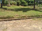 හෝමාගම ආටිගල Land for Sale