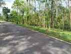 හෝමාගම හොරගල බස් පාරෙන් බිම් කොටස් විකිණීමට