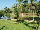 හෝමාගම හොරගල බස් පාරෙන් බිම් කොටස් විකිණීමට