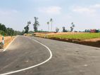 හෝමාගම කිරිවත්තුඩුව බිම් කොටස් විකිණීමට ..