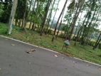 හෝමාගම නගරයට නුදුරින් බිම් කොටස් විකිණීමට